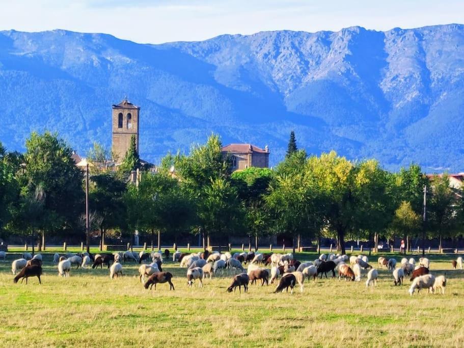 El Escondite De Molina. Valle Del Tietar. La Iglesuela Ngoại thất bức ảnh